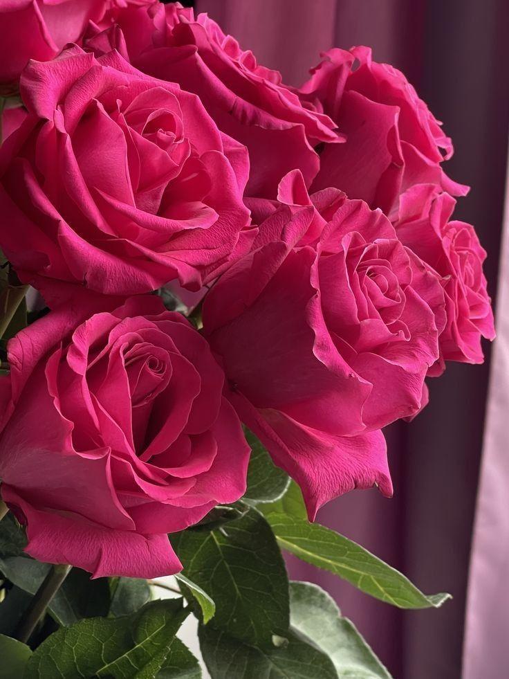 Maple Canvas Node workshop space where corporate flower arrangements are designed and prepared for business delivery